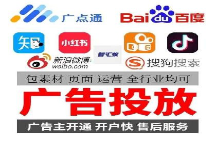 网络推广与竞价广告：双管齐下的策略案例